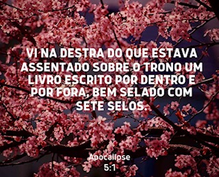 /img/biblia/apo-5-1.jpg