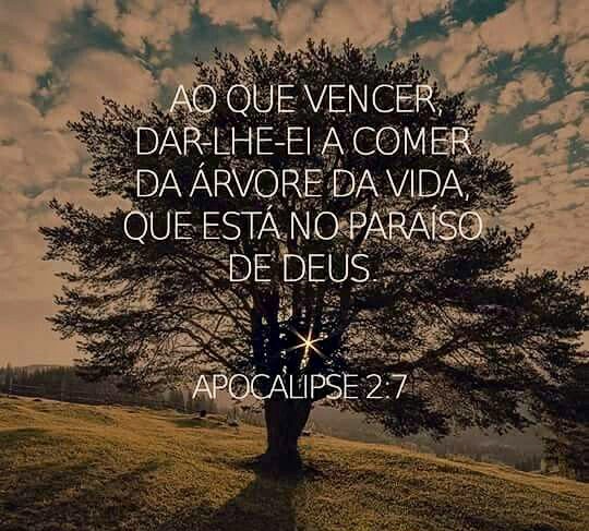 /img/biblia/apo-2-7b.png /img/biblia/apo-2-7b.png