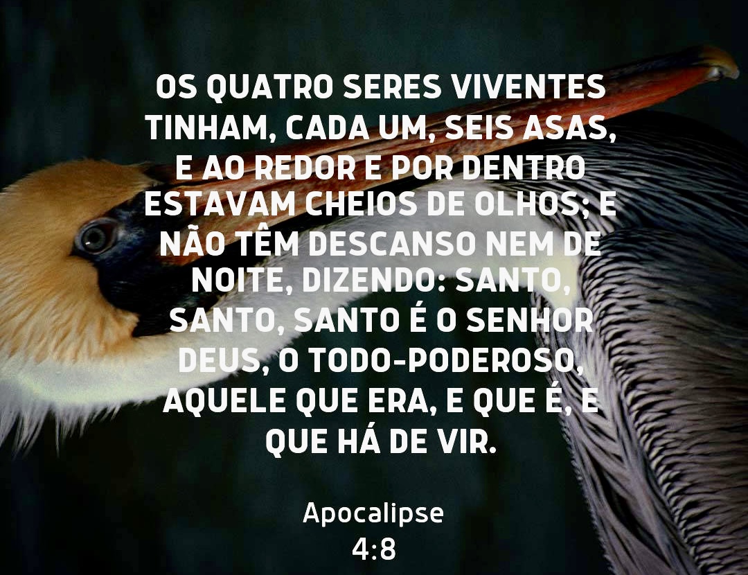 /img/biblia/apo-4-8.jpg /img/biblia/apo-4-8.jpg