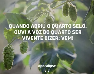 /img/biblia/apo-6-7.jpg /img/biblia/apo-6-7.jpg