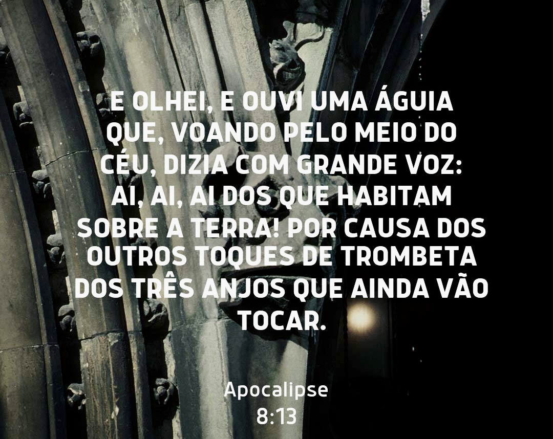 /img/biblia/apo-8-13.jpg /img/biblia/apo-8-13.jpg